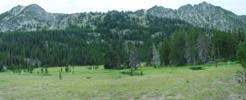 meadow above Wallowa Lake