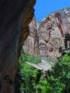 Near Emerald Pools, Zion