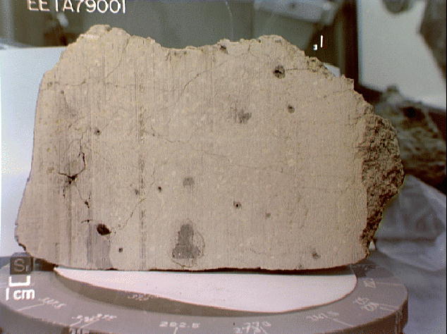 SNC meteorite (EETA 79001)