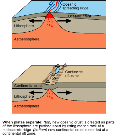 separating plates create midocean ridges and continental rift zones