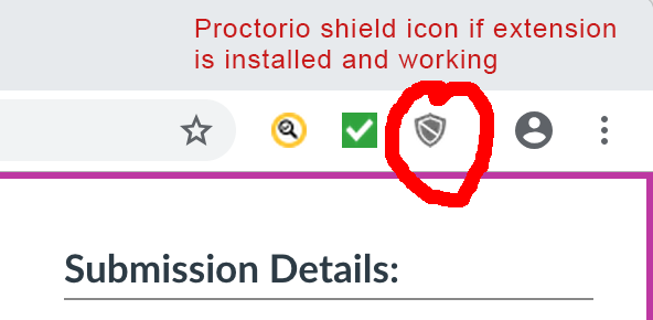 install proctorio chrome extension install proctorio chrome extension