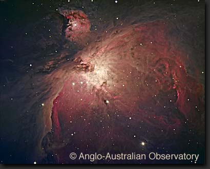 the Orion Nebula